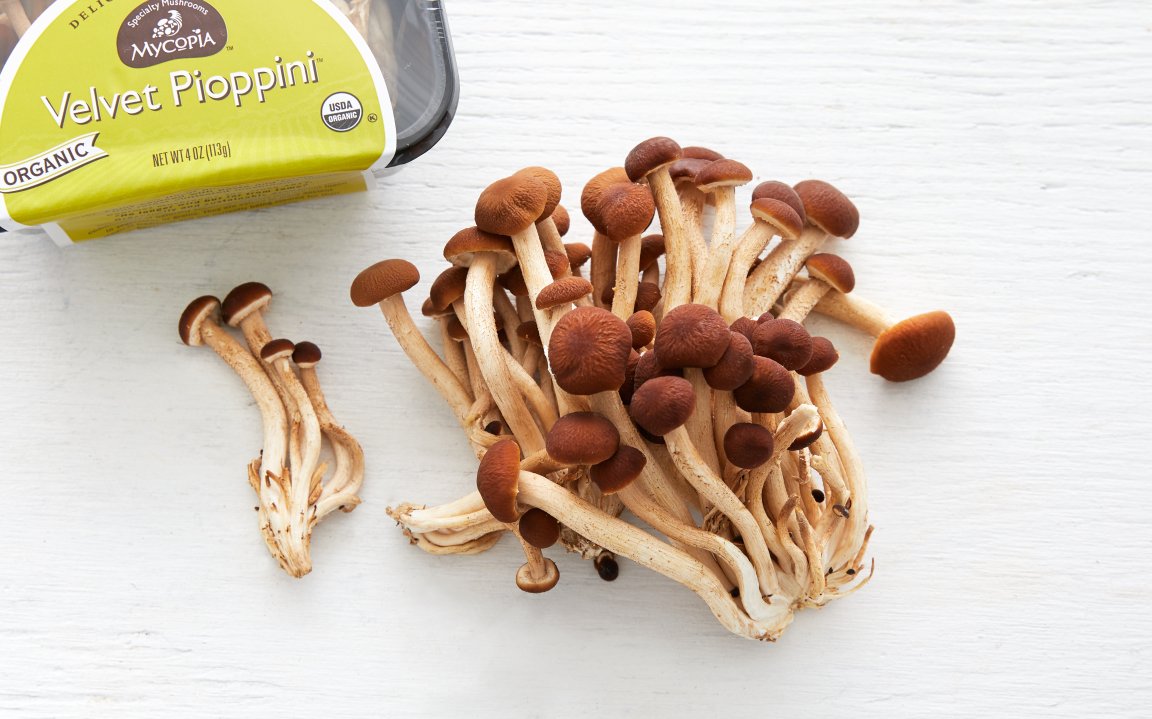 Organic Velvet Pioppini (Black Poplar) Mushrooms Gourmet Mushrooms